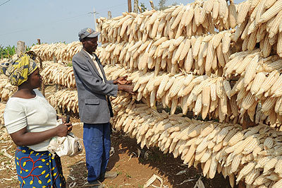 Health and Food security